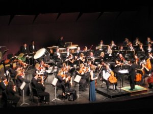 7821_1133466543675_1437630123_30305037_5850702_n